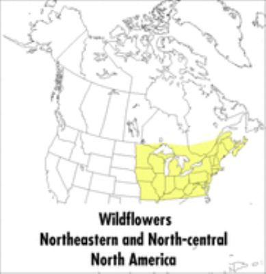 WILDFLOWERS:NORTHEASTERN & NOR