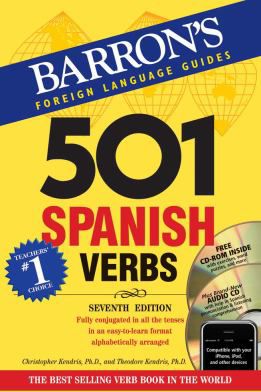 501 SPANISH VERBS WITH CDROM
