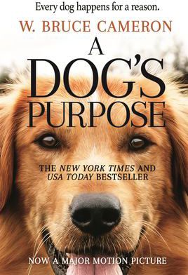 DOGS PURPOSE MTI